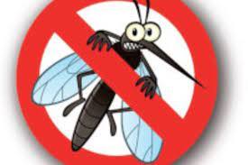Ordinanze sindacali - contenimento pollinosi da ambrosia e prevenzione malattie trasmesse da insetti vettori
